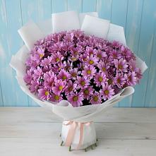 Букет цветов из:  Хризантемы в Стальском