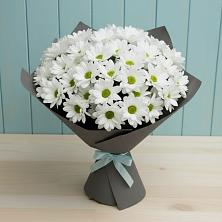 Букет цветов из:  Хризантемы в Стальском