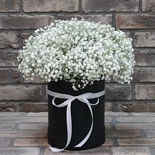 Цветочная композиция из Гипсофила в шляпной коробке в Стальском