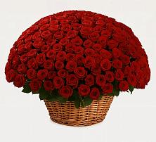 Премиум букет из: Розы в Стальском