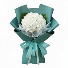 Букет цветов из:  Гортензия #REPLACE_PRED# Стальском